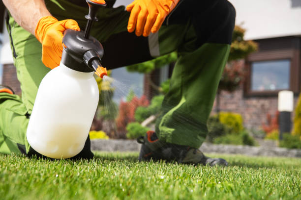 Best Residential Pest Control  in Gilroy, CA