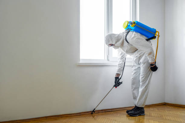 Best Pest Control Near Me  in Gilroy, CA