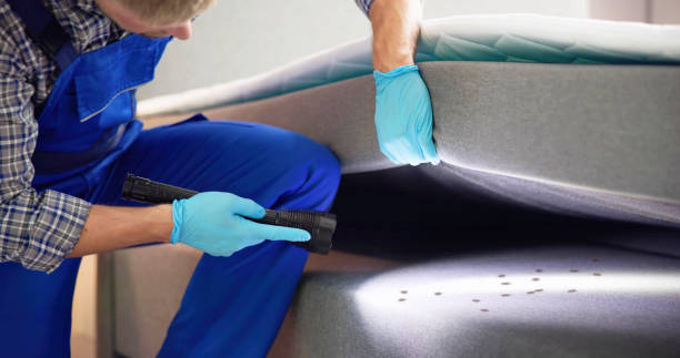 Best Pest Removal Services  in Gilroy, CA