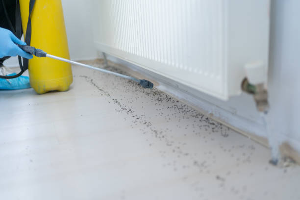 Best Pest Control Near Me  in Gilroy, CA