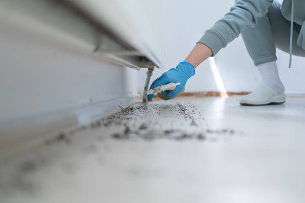 Trusted Gilroy, CA Pest Control Experts